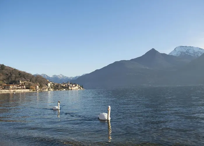 Al Castello - Pool - Direkte Seefront - 12 Gaeste - 4sz - 4 Baeder 度假居 Rezzonico